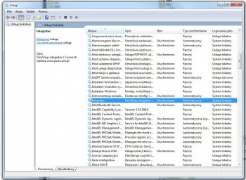 Integrator - Jako usługa WindowsEkran konfiguracji serwisów