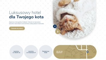 Screen - Hotel dla kotów - Warszawa