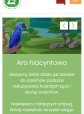 RWD - Zoo Warszawa